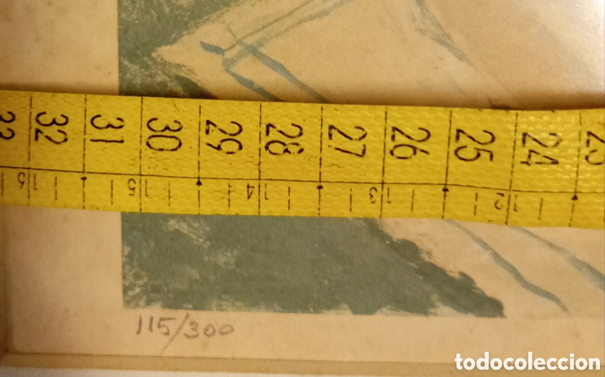 Arte: Serigraf&iacute;a firmada a identificar y numerada - Foto 4