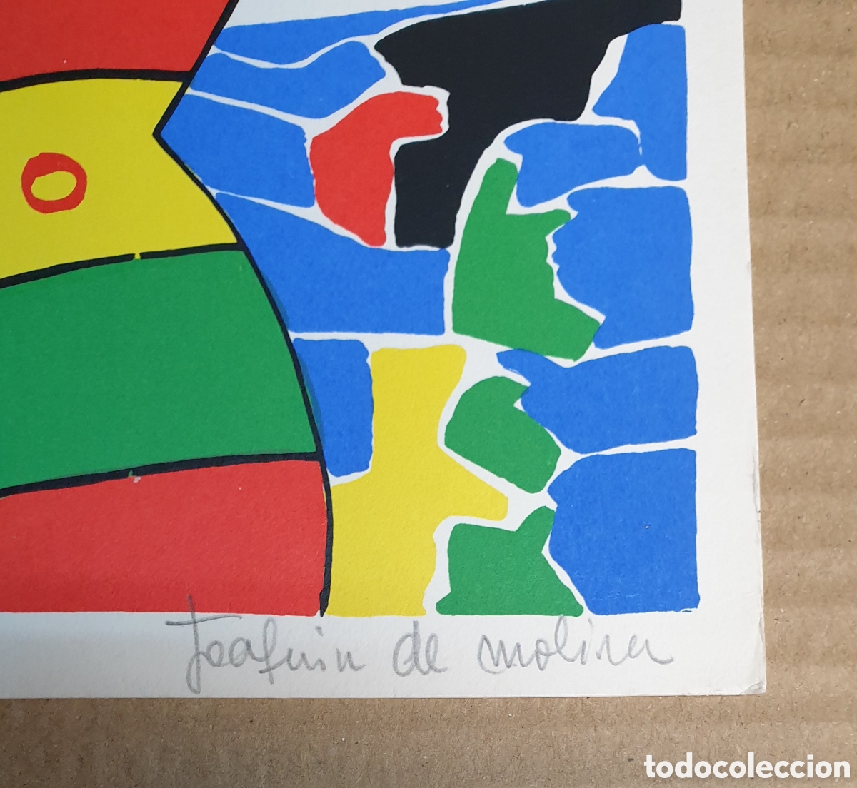 Arte: JOAQU&Iacute;N DE MOLINA Serigraf&iacute;a - Foto 3