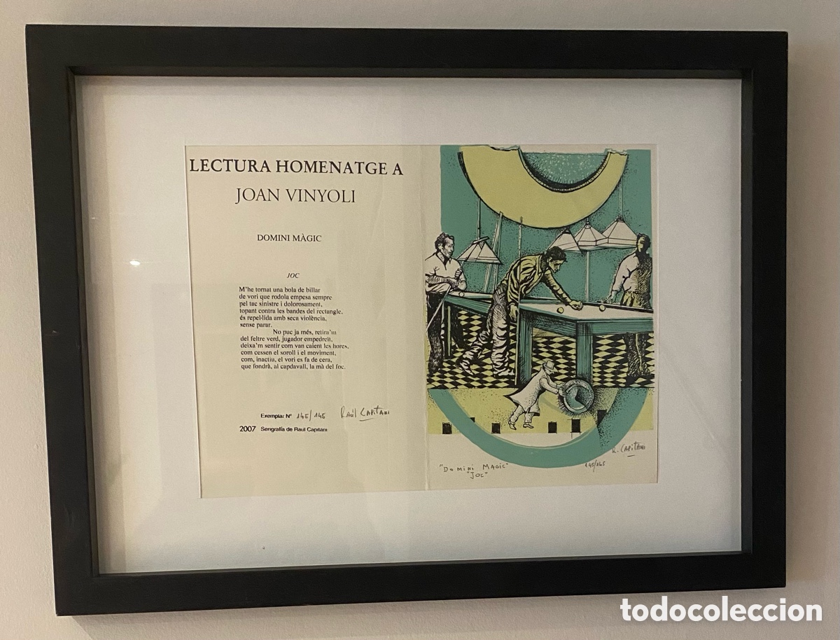 Arte: Cuadro serigraf&iacute;a de Raul Capitani - Foto 3