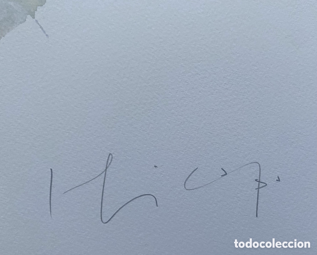 Arte: Serigraf&iacute;a Joaqu&iacute;n Capa Santander - Foto 7