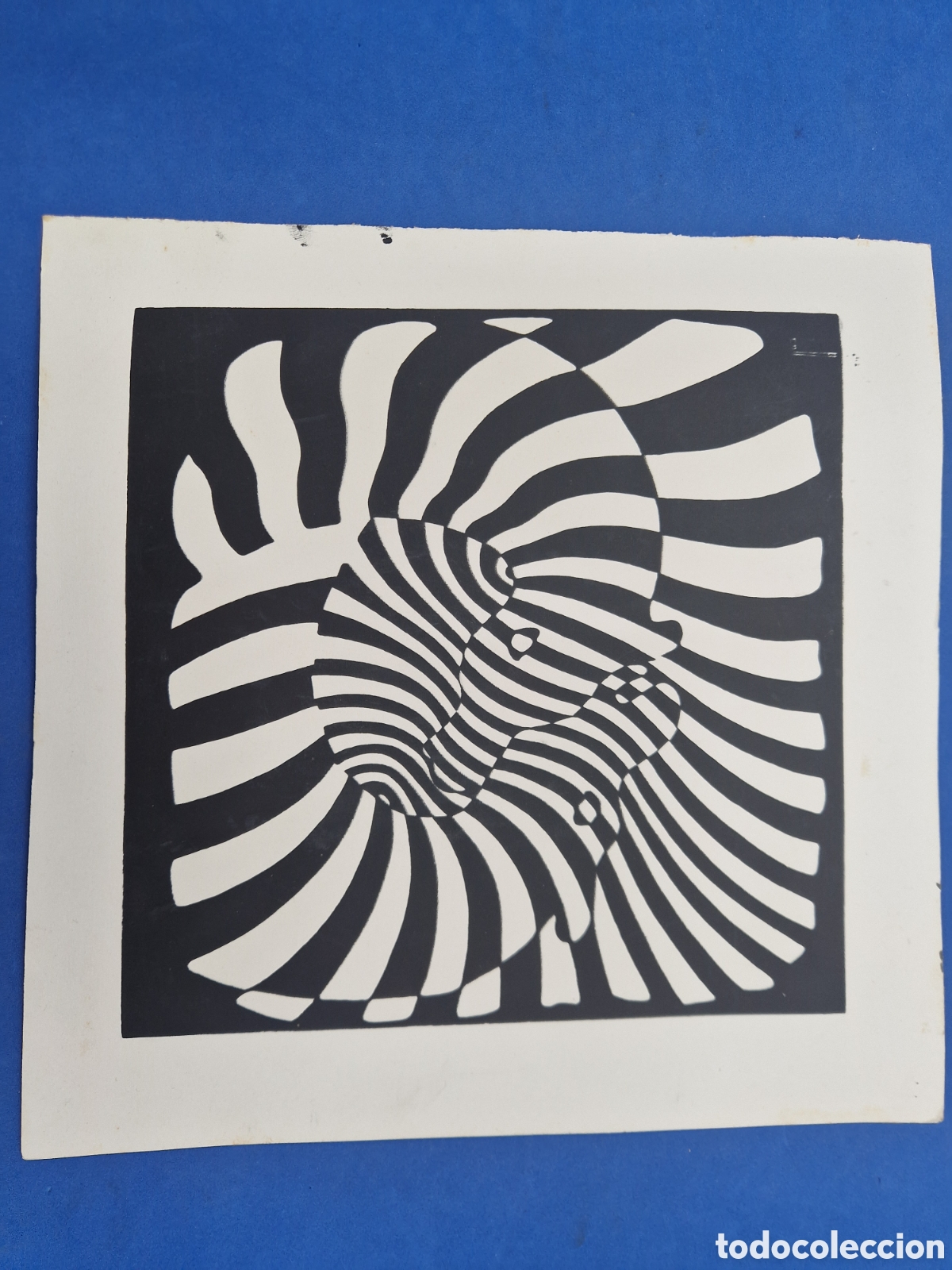 Arte: Serigrafia sobre papel , dos cebras - Foto 1