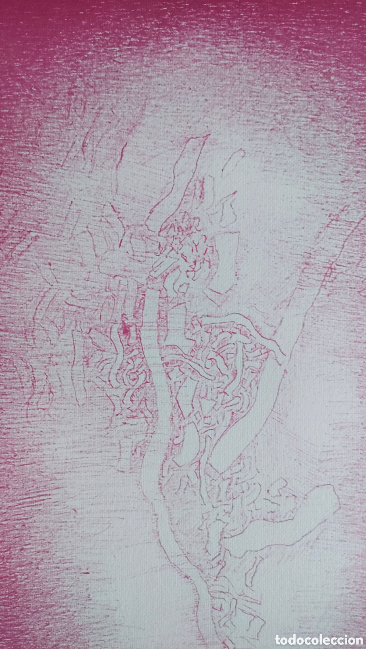 Arte: Serigraf&iacute;a edici&oacute;n limitada Sixto Camesa - Foto 5