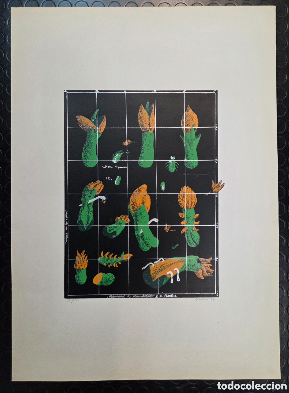 Arte: GERARDO APARICIO. Serigraf&iacute;a 1972. - Foto 2