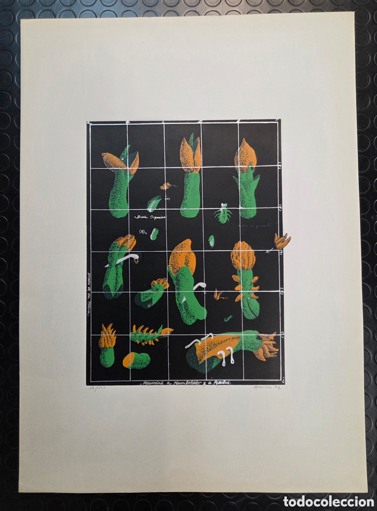 Arte: GERARDO APARICIO. Serigraf&iacute;a 1972. - Foto 7