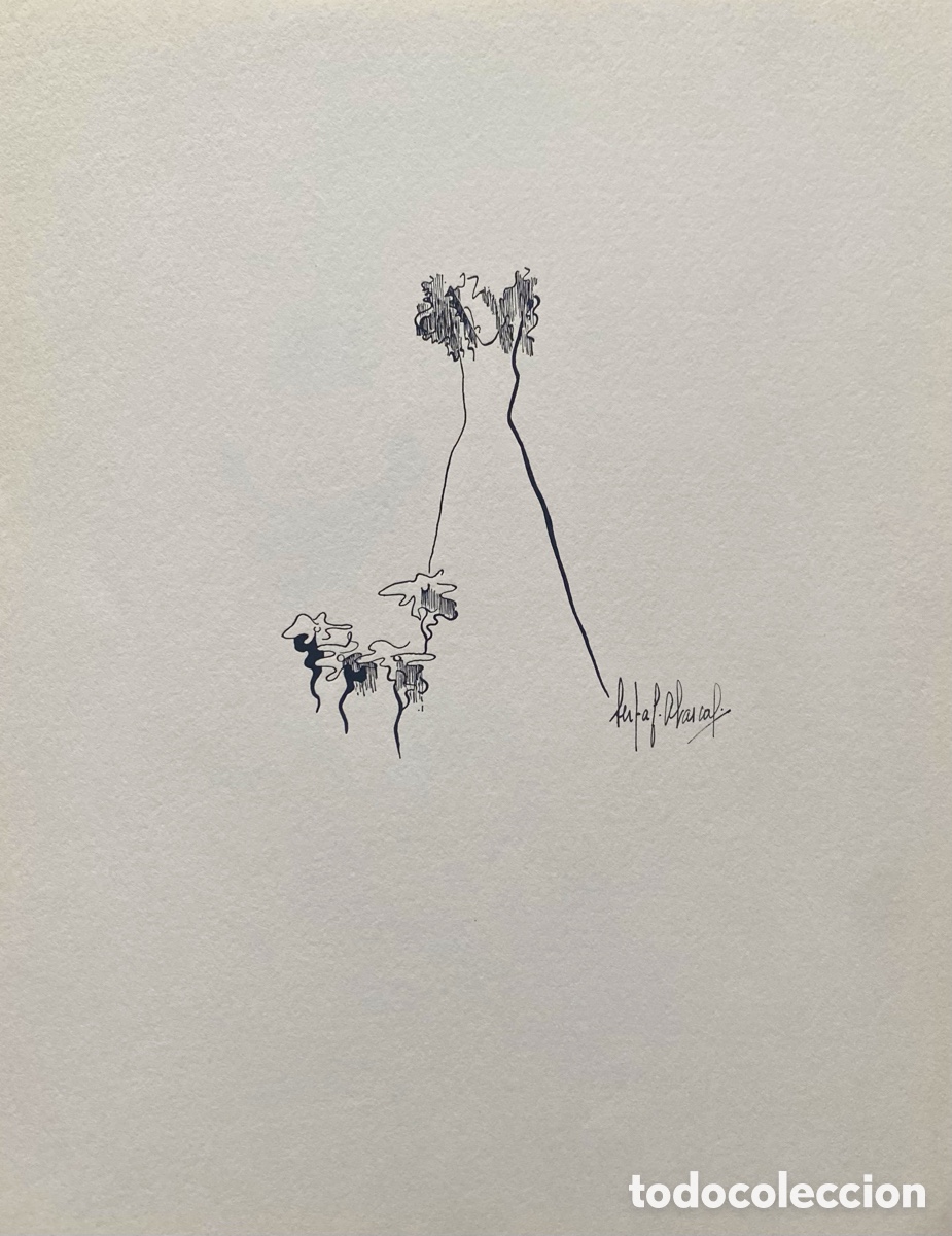 Arte: Serigraf&iacute;a Berta F. Abascal Cantabria - Foto 2