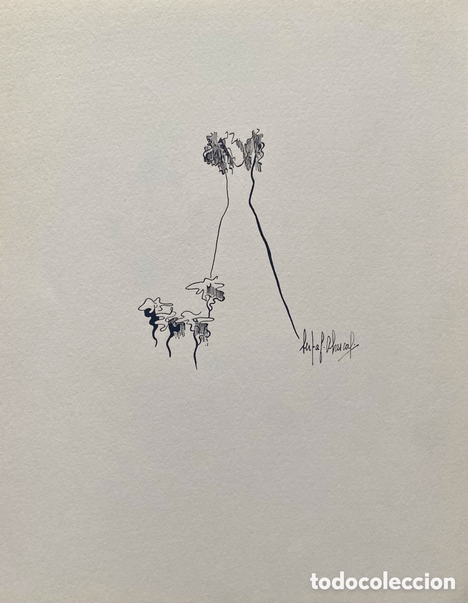Arte: Serigraf&iacute;a Berta F. Abascal Cantabria - Foto 3