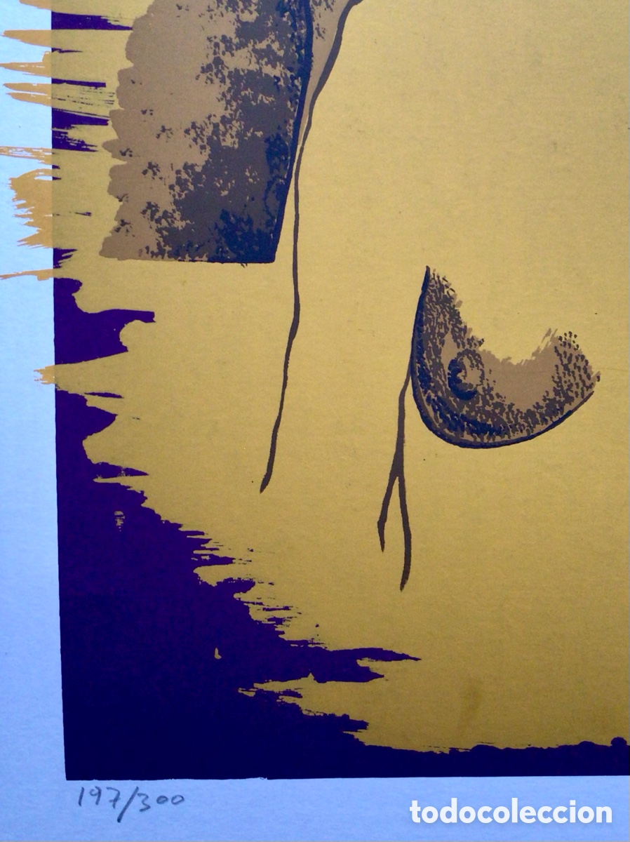 Arte: Serigraf&iacute;a Cruz De Castro - Foto 6