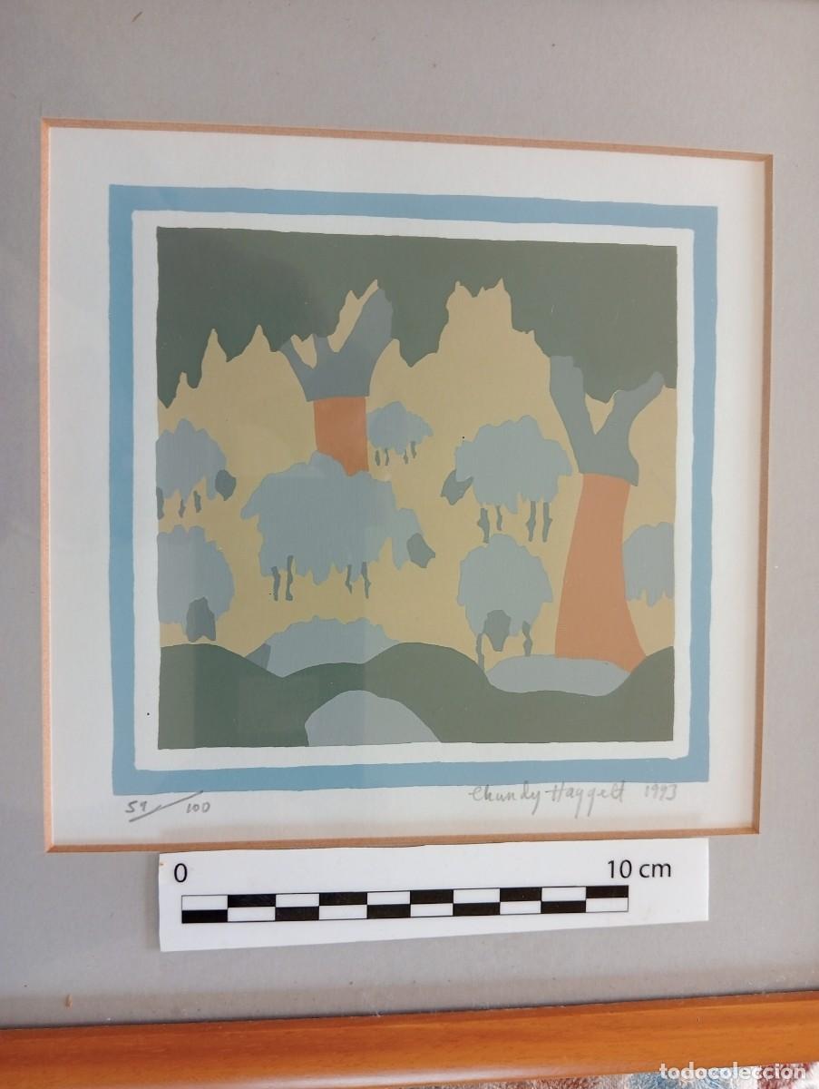 Arte: Serigraf&iacute;as originales Chandy Haggell - Foto 5