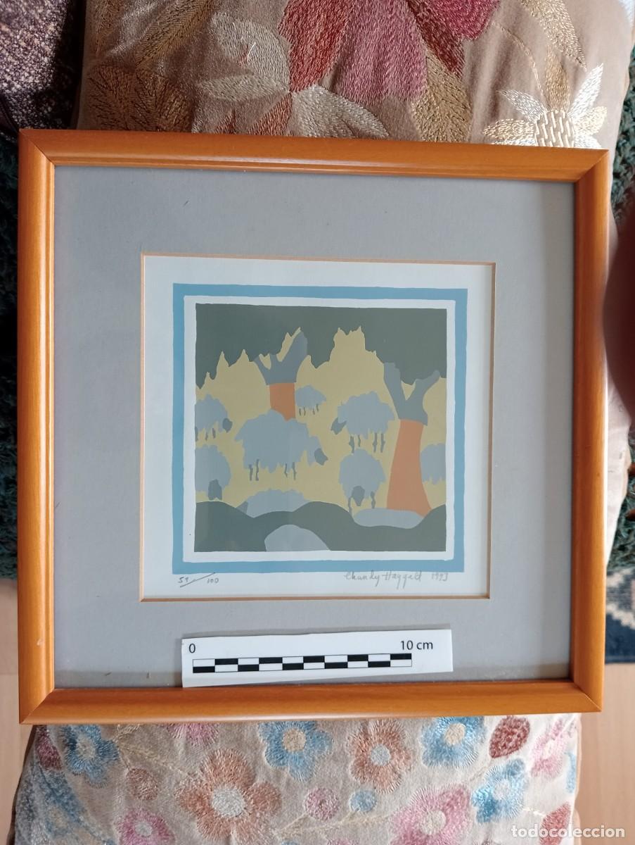 Arte: Serigraf&iacute;as originales Chandy Haggell - Foto 6