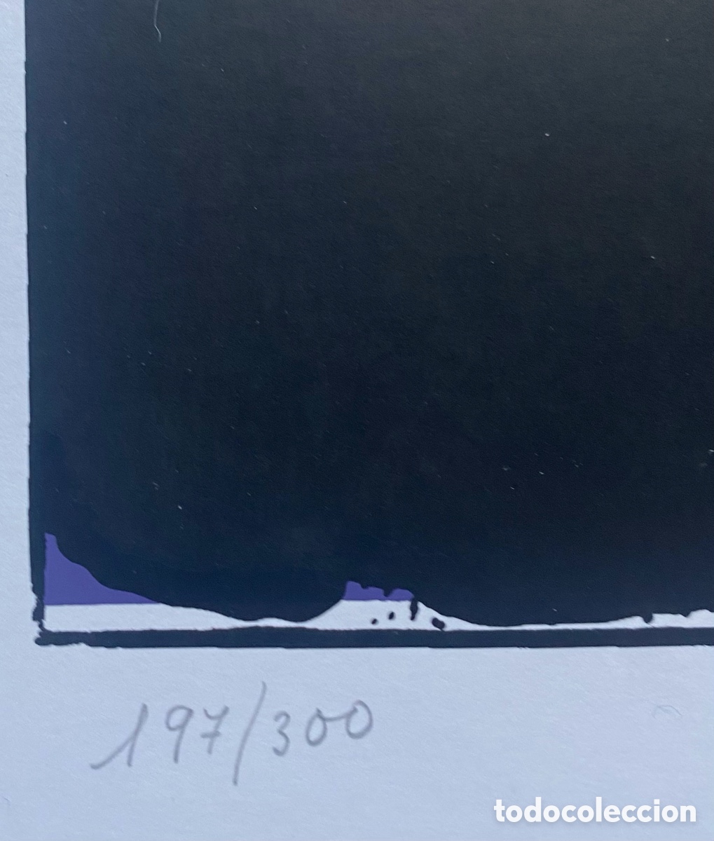 Arte: Serigraf&iacute;a Alberto Mendivil - Foto 6