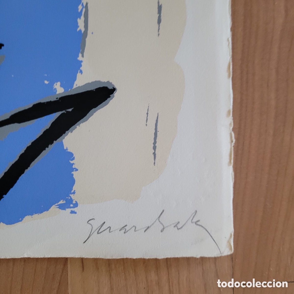 Arte: Serigraf&iacute;a Gerard Salas - Foto 2