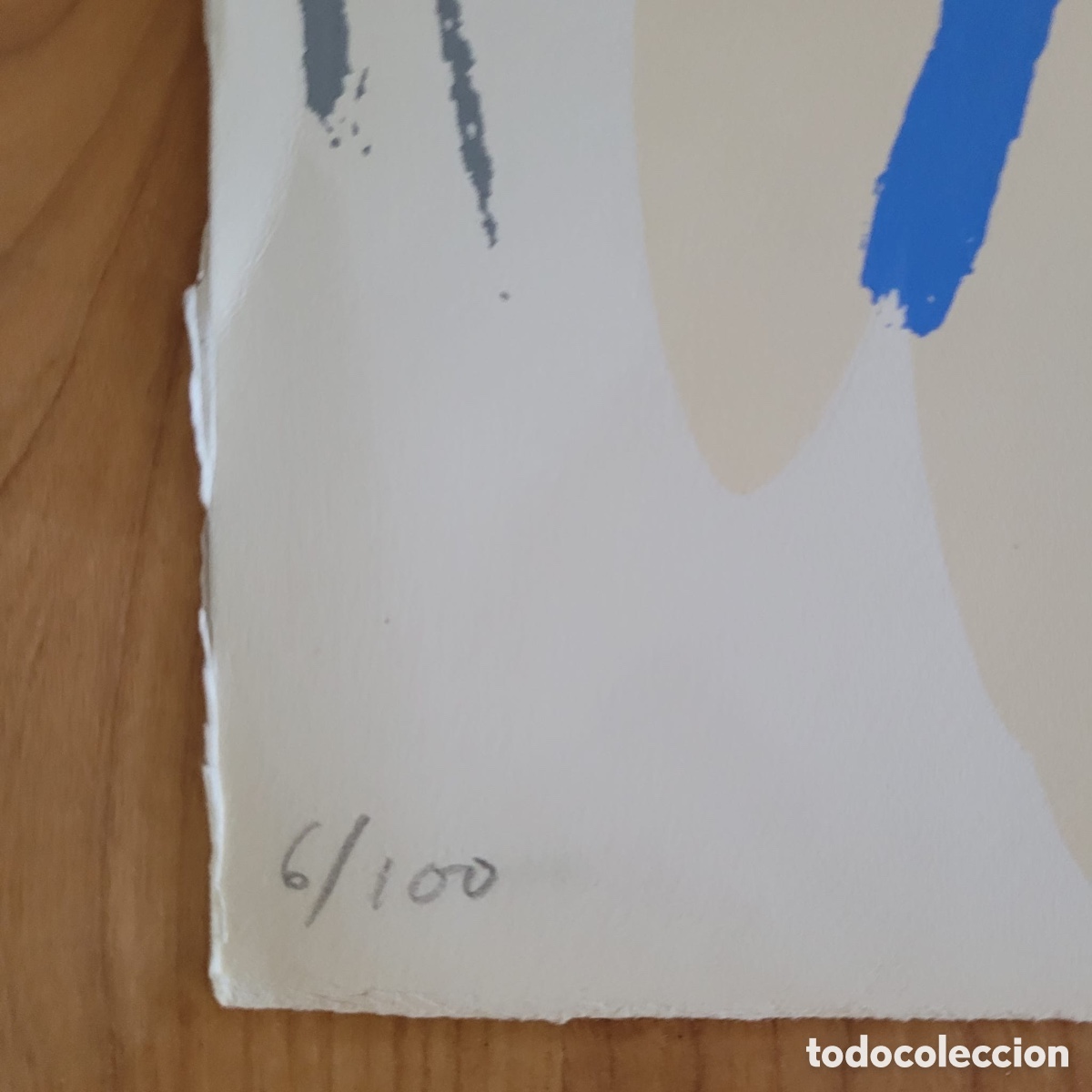 Arte: Serigraf&iacute;a Gerard Salas - Foto 3