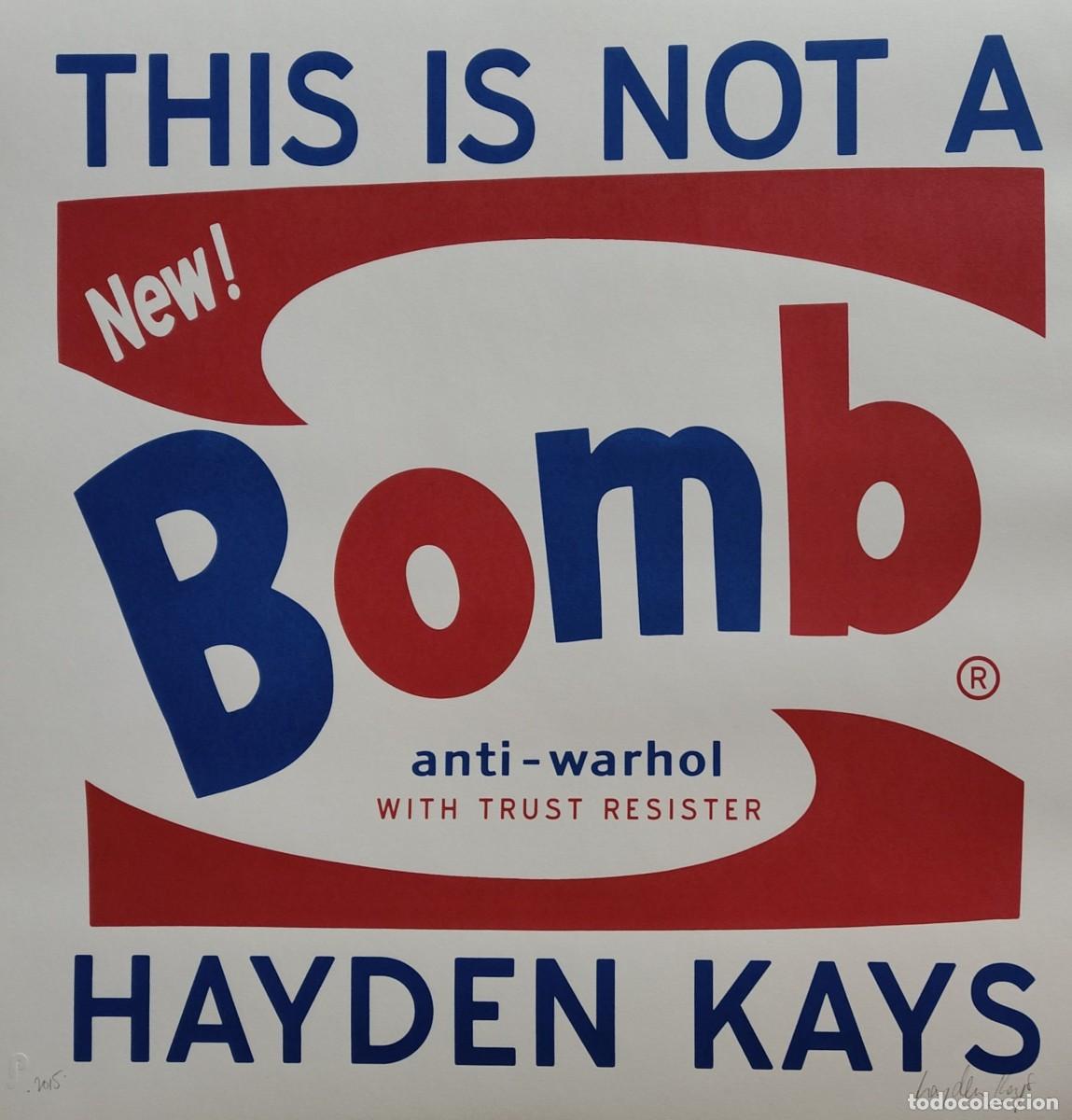 Arte: Hayden Kays (1985). This is not a bomb, serigraf&iacute;a firmada a mano, 2015.