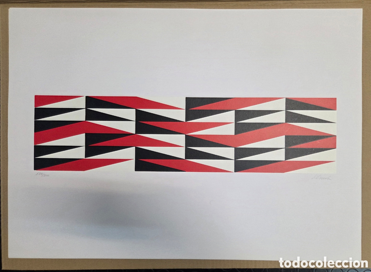 Arte: JAVIER VIRSEDA. SERIGRAF&Iacute;A - Foto 2