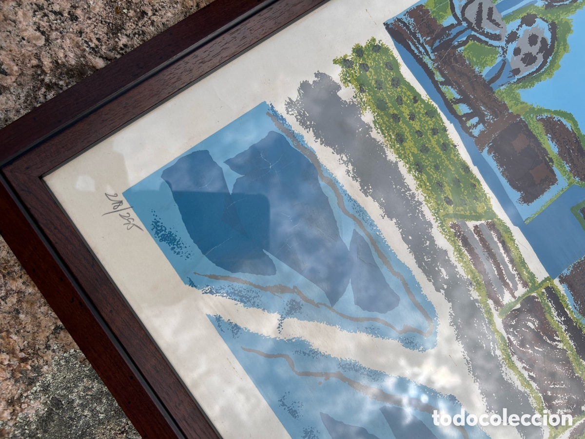 Arte: Serigraf&iacute;a Mar&iacute;a Antonia Dans - Foto 6