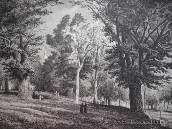 Arte: EL ESCORIAL PASEO LOS ALAMILLOS - Foto 1