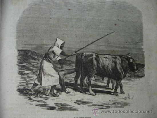Arte: LABRADOR MORO .1859. 13X16 - Foto 1
