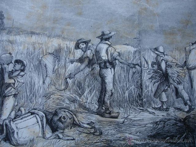Arte: LA SIEGA  .A&Ntilde;O 1870 - Foto 1