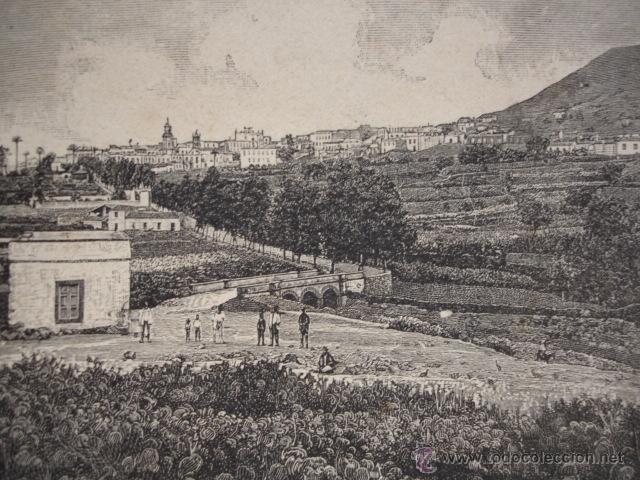 Arte: ARUCAS  CANARIAS . A&Ntilde;O 1891 - Foto 1