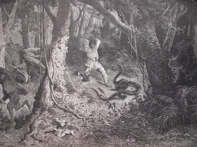 Arte: UNA PITON PERU A&Ntilde;O 1865 - Foto 1