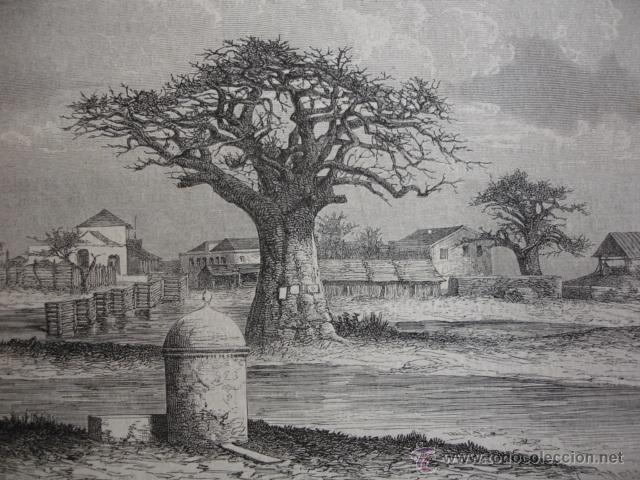 Arte: EMBARCADERO DE DAKAR  .AFRICA .A&Ntilde;O 1872 - Foto 1