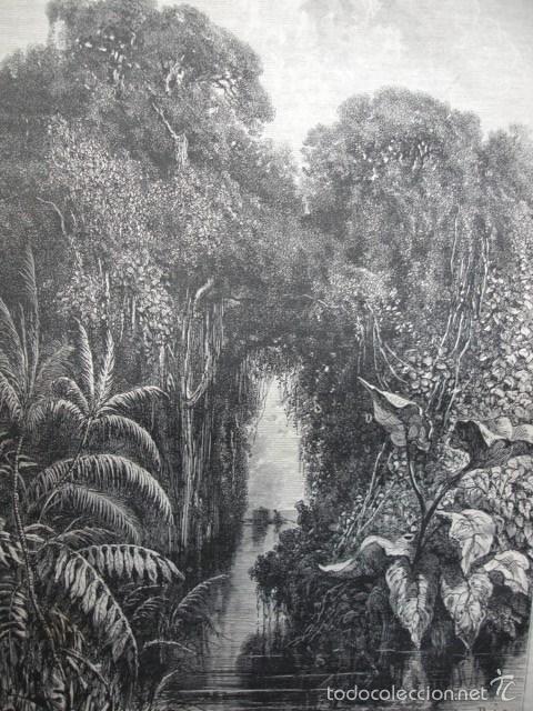 Arte: CANAL SAPOTE PERU .A&Ntilde;O 1865 - Foto 1