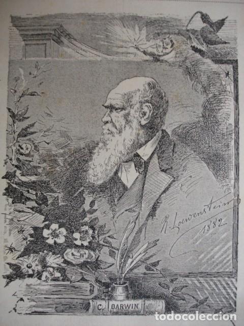Arte: DARWIN  A&Ntilde;O 1880 - Foto 1