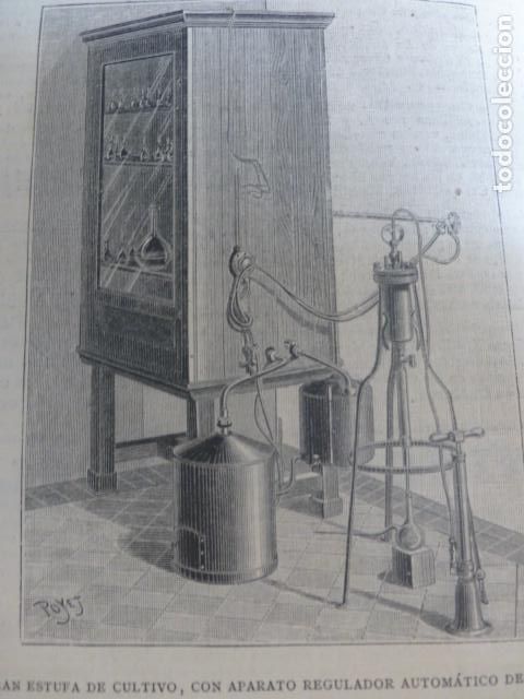 Arte: PARIS LABORATORIO DE PASTEUR XILOGRAFIA 1890 - Foto 1