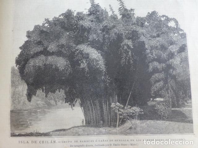 Arte: ISLA DE CEILAN XILOGRAFIA 1890 - Foto 1
