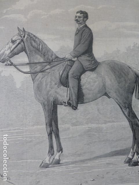 Arte: COMENDADOR PAOLO SALVI Y SU CABALLO OLE OLE ANTIGUO GRABADO XILOGRAFICO XILOGRAFIA 1883