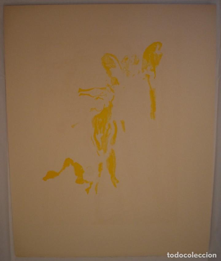 Arte: Dal&iacute; 5 Planchas descomposici&oacute;n + plancha final PARAISO 12 - Foto 5