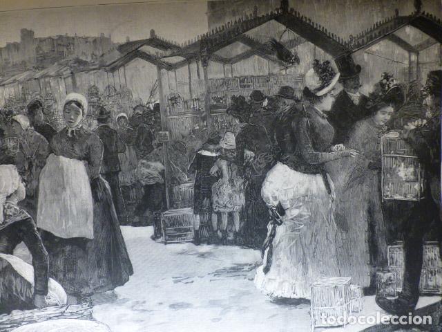 Arte: PARIS EL MERCADO DE PAJAROS ANTIGUA XILOGRAFIA 1888