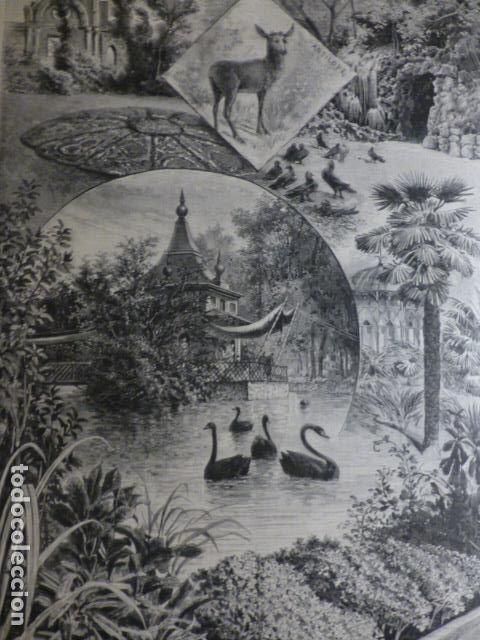 Arte: MADRID PARQUE EXPOSICION SOCIEDAD CENTRAL DE HORTICULTURA ANTIGUA XILOGRAFIA 1888