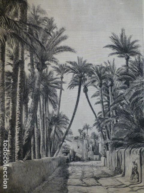 Arte: ELCHE ALICANTE EL PALMERAL GRABADO XILOGRAFICO XILOGRAFIA 1874