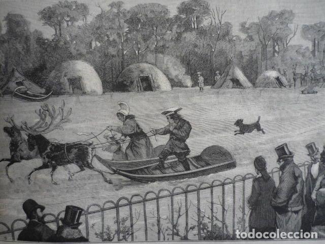Kunst: NUEVA YORK LAPONES EN EL JARDIN DE ACLIMATACION ANTIGUO GRABADO XILOGRAFICO XILOGRAFIA 1878
