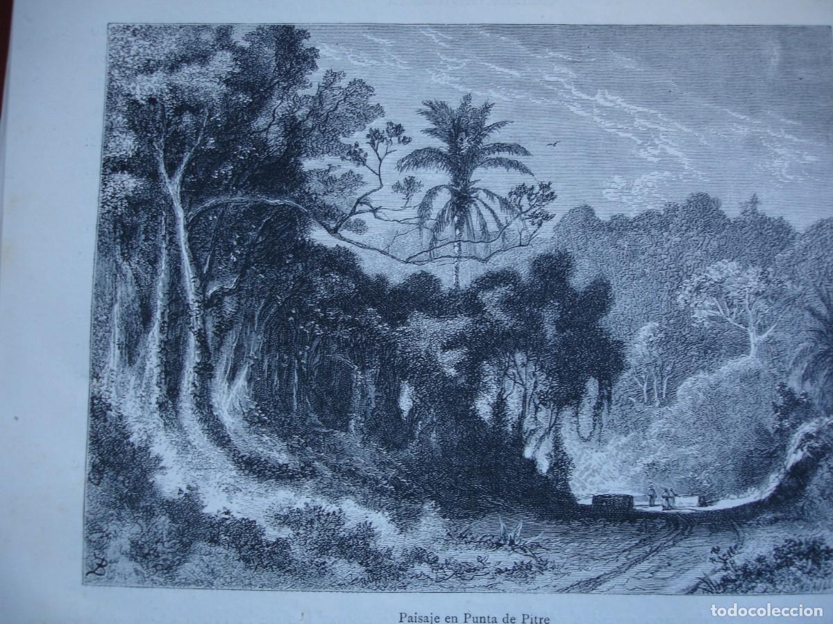 Arte: PUNTA DE PITRE GUADALUPE POINTE A PITRE .A&Ntilde;O 1884 - Foto 1