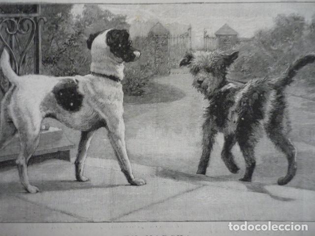 Kunst: EN MARCHA DOS PERROS GRABADO XILOGRAFICO XILOGRAFIA 1895