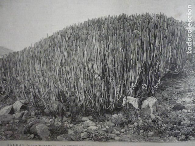 Art: GALDAR GRAN CANARIA MALPAIS GRABADO XILOGRAFICO XILOGRAFIA 1895