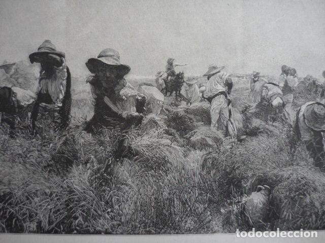 Art: SIEGA EN ANDALUCIA GRABADO XILOGRAFICO XILOGRAFIA 1895