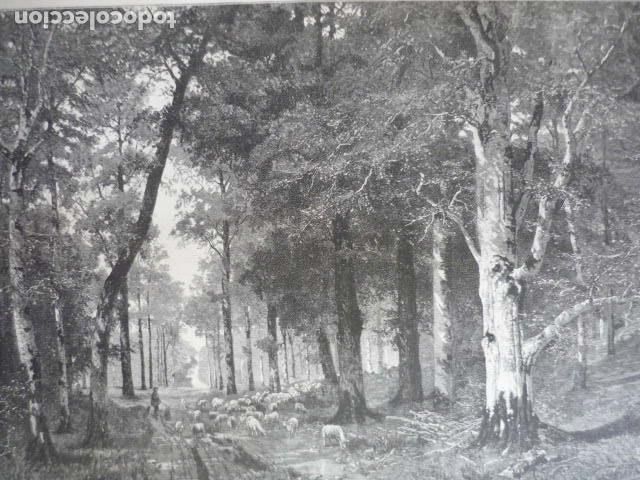 Art: PAISAJE DEL NORTE GRABADO XILOGRAFICO XILOGRAFIA 1895