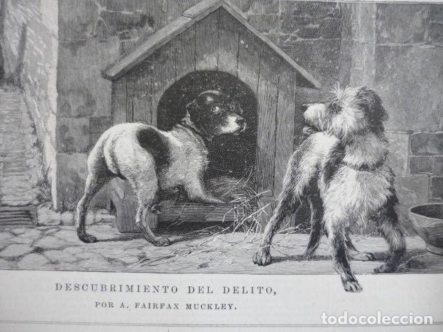 Art: DESCUBRIMIENTO DEL DELITO PERROS GRABADO XILOGRAFICO XILOGRAFIA 1895