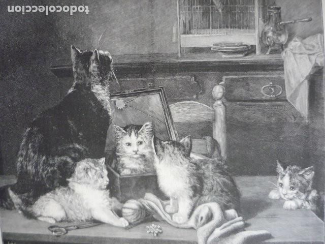 Art: OCIOS DEL BIENESTAR GATOS CON ESPEJO GRABADO XILOGRAFICO XILOGRAFIA 1895