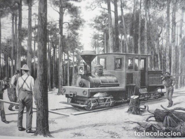 Arte: FLORIDA CONSTRUCCION RAPIDA VIA MADERA GRABADO XILOGRAFICO XILOGRAFIA 1895