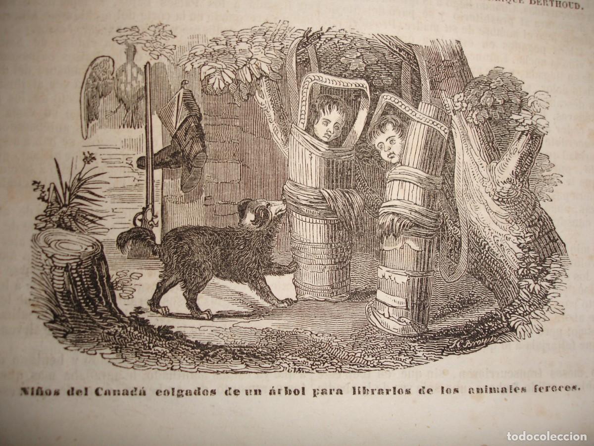 Arte: NI&Ntilde;OS EN CANADA COLGADOS EN UN ARBOL PROTEGERLOS DE ANIMALES.A&Ntilde;O 1845