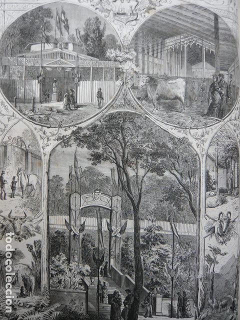 Arte: SANTANDER EXPOSICION PROVINCIAL AGRICOLA GRABADO XILOGRAFICO XILOGRAFIA 1872
