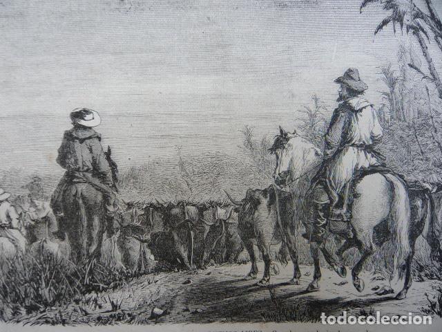 Art: GAUCHOS ARGENTINOS BUENOS AIRES ARGENTINA GRABADO XILOGRAFICO XILOGRAFIA 1872