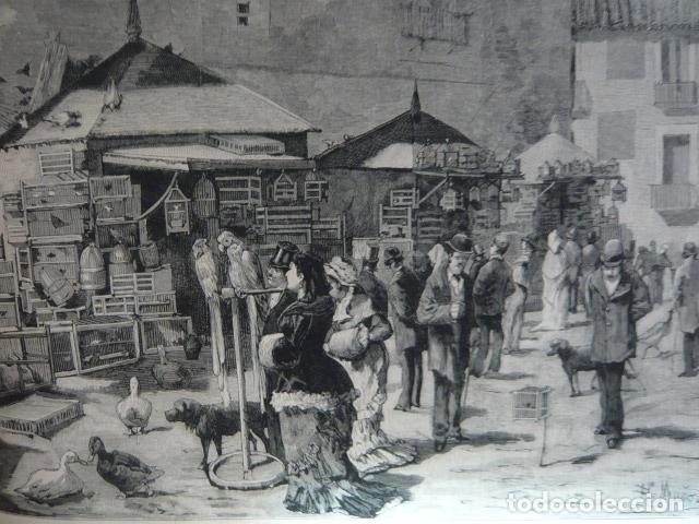 Arte: MADRID MERCADO DE PAJAROS PLAZA SAN ANDRES GRABADO XILOGRAFICO XILOGRAFIA 1879