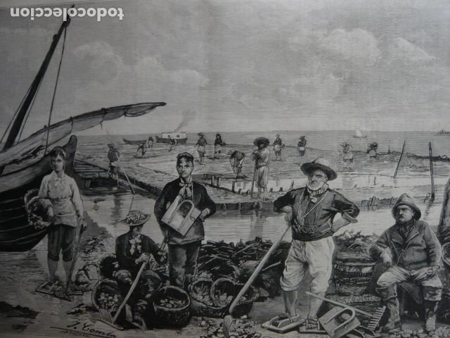 Arte: ARCACHON FRANCIA TIPOS DE PESCADORES GRABADO XILOGRAFICO XILOGRAFIA 1879