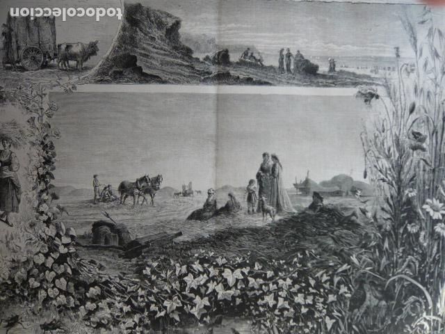 Arte: TARDES DE ESTIO GRABADO XILOGRAFICO XILOGRAFIA 1879