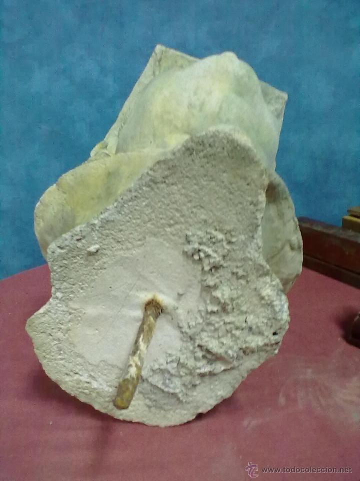 Arte: BUSTO DE QUIEN NO CONOZCO. - Foto 10